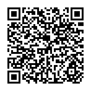 QR Code for Proceedings of the Regional Workshop on Agricultural Information Needs, Mode, Mechanism and Information Flow in SAARC Countries