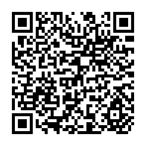 QR Code for Seeds of Choice