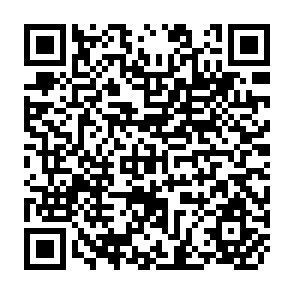 QR Code for Beyond Global Collapse The or a Sustainable Fiture Limits