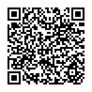 QR Code for Credit-Based, Participatory Poverty Alleviation Strategies in Sri Lanka: What Have We Learned?