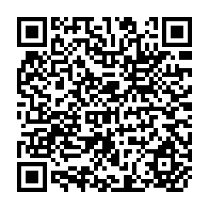 QR Code for Surges and Volatility of Privete Capital Flows to Asian Developing Countries: Implications For Multilateral Development Bank