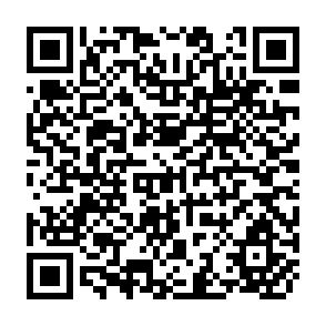 QR Code for The Economics of Underdeveloped