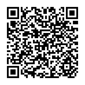 QR Code for General equilibrium response to export incentives- A case study of Bangladesh economy