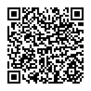 QR Code for Cut and Run