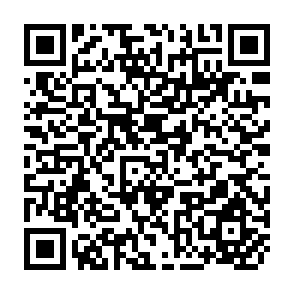 QR Code for Groundnut in China