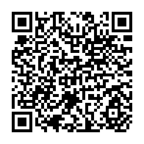 QR Code for The Rise and Fall of Economic Liberalism