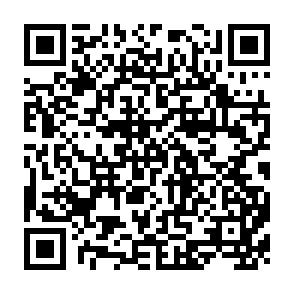 QR Code for The Market Tells Them So : The World Bank and Economic Fundamentalism in Africa