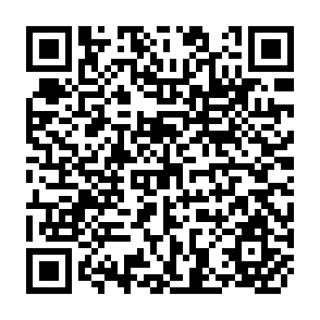 QR Code for Human Development in South Asia 1998