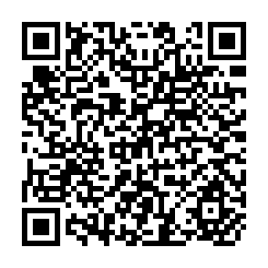 QR Code for Patterns of Development, 1950 - 1970