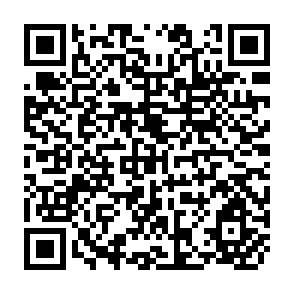 QR Code for Analysis of Household Expenditures