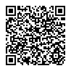 QR Code for Argentina: Country Case Study of Agricultural Prices and Subsidies