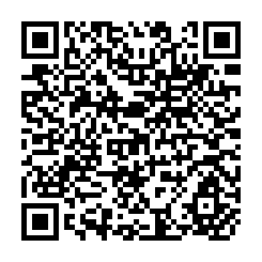 QR Code for Adjustment to External Shocks in Devloping Economics