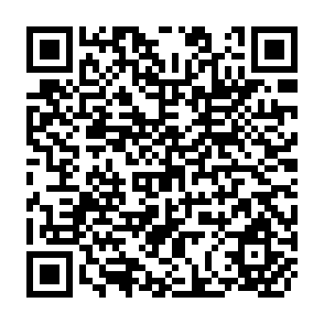 QR Code for FAO,Forests and Forestry