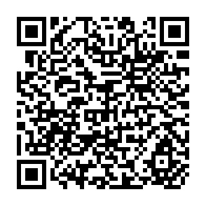 QR Code for Export Credit Insurance and Guarantee Schemes