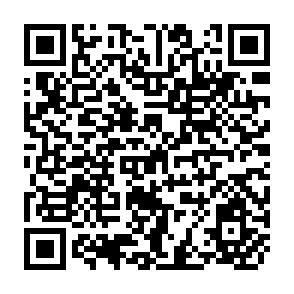 QR Code for Some Issues on the Characteristics of Rural Cooperatives in Indonesia