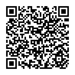 QR Code for Surveillance Of Agricultural Price And Trade Policy In Latin America During Major Policy Reforms