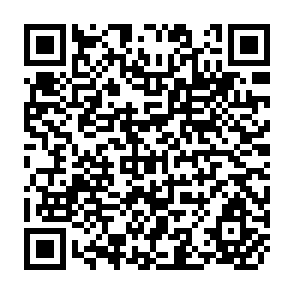 QR Code for Foods That Heal