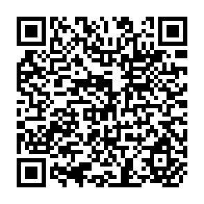 QR Code for Lopsided Rules of North-South Engagement: The African Growth and Opportunity Act