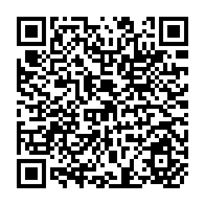 QR Code for The WTO Multilateral Trade Agenda and the South