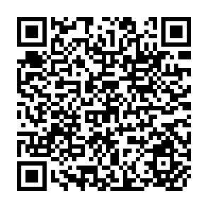 QR Code for Hybrid and High Yielding Crop Varieties in SAARC Countries