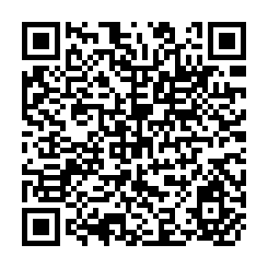 QR Code for The World Trade Organisation