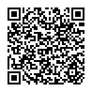 QR Code for Market Intelligence and Food Information System (Crop Forecasting Component-SRL/91/023) Final Report-GIS