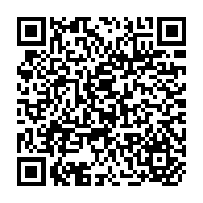 QR Code for Working Papers