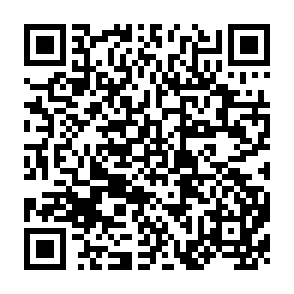 QR Code for Epistemological struggle and international organizing: Applying the experience of the zapatista army of national liberation