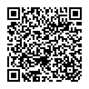 QR Code for Working Papers