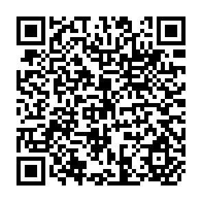 QR Code for Ethics and the Conduct of International Development Aid: Charity and Obligation