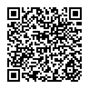 QR Code for Greening the National Income Accounts