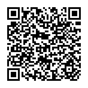 QR Code for Ecology and the Politics of Survival