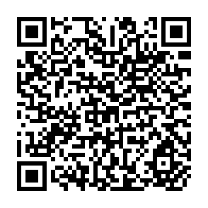 QR Code for The Other Side of Development : Social-Psychological Implications