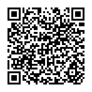 QR Code for The pricing of agricultural capital inputs in Pakistan