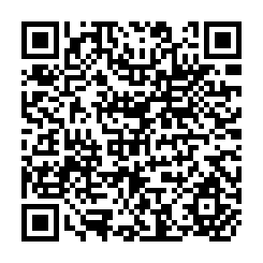 QR Code for Non Agricultural Employment in India