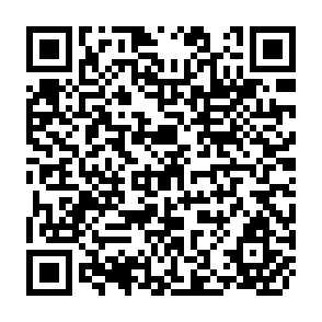 QR Code for Growth and Income Distribution in India