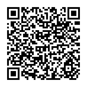 QR Code for Linear Algebra for Social Sciences