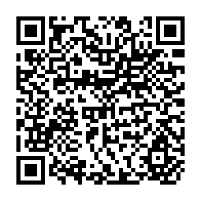 QR Code for The Political Economy of Agrarian Change