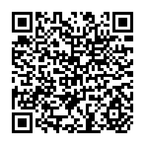 QR Code for Organising Rural Business Policy, Planning and Management