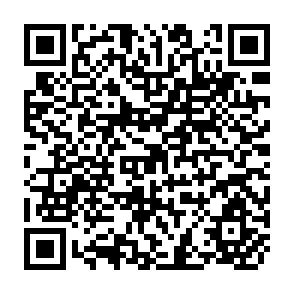 QR Code for Dialogues on Development