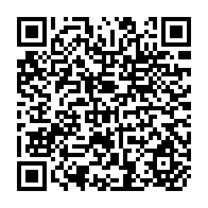 QR Code for Social Structures of Indian Villages