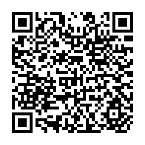 QR Code for Food Security in South Asia