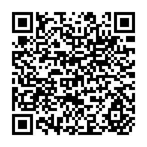QR Code for Land reform and politics