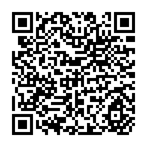 QR Code for Mathematical Optimization and Economic Theory