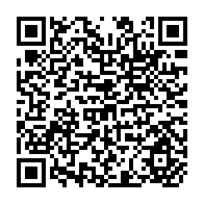 QR Code for Bangladesh Inflation - A Survey And A Methodology for Further Study