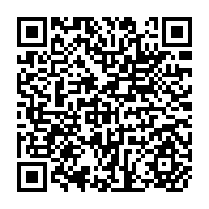 QR Code for Farmer Participation in Irrigation 20 Years of Experience and Lessons for the Future