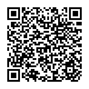 QR Code for Trede and Growth In the Philippines An Open Dual Economy