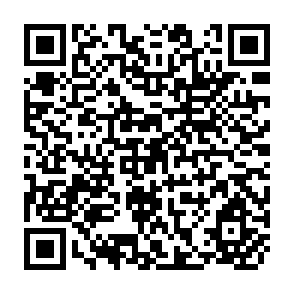 QR Code for Why Projections on China's Future Food Supply and Demand Differ