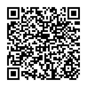 QR Code for Hunger, Famines and Poverty: A few Considerations of Political Economy