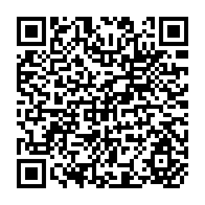 QR Code for Hunger, Famines and Poverty: A few Considerations of Political Economy
